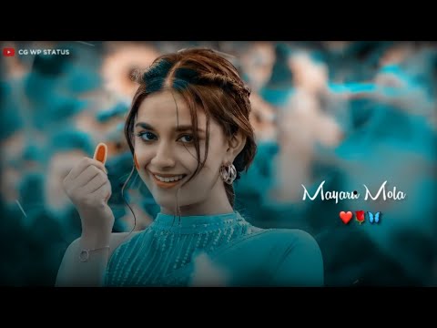 Tor Surta 👩‍❤️‍💋‍👩Ma Re 😘 Nind Nei Ave Re💕Cg Love Status 🌼 Whatsapp Status 💋