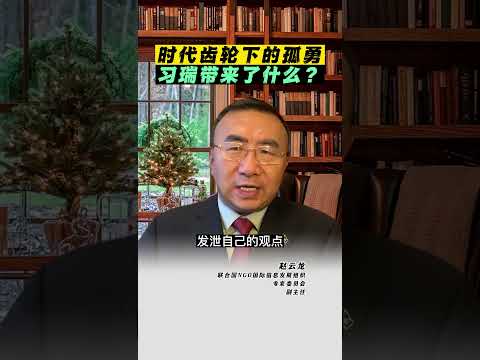 时代齿轮下的孤勇，习瑞带来了什么？