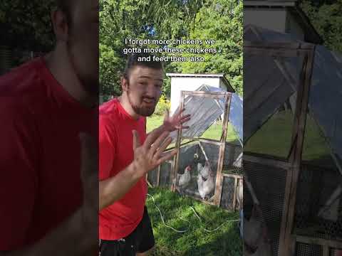 Chores on a Small Farm