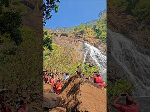 Dudhsagar Falls, Goa | দুধসাগর জলপ্রপাত #waterfall #tourism #goa #travelmemories