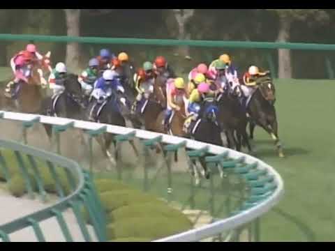 シーザリオ 2005年 第65回桜花賞(GI) (優勝馬：ラインクラフト) (実況：ラジオNIKKEI)