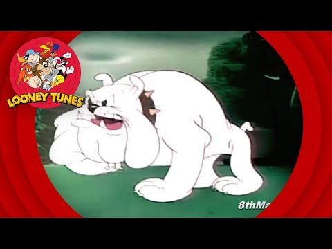 Looney Tunes - Ding Dog Daddy | Friz Freleng directed cartoon