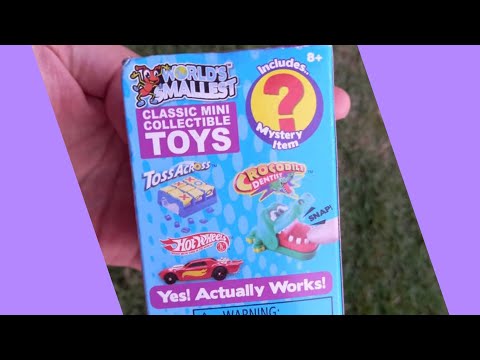 World's Smallest Toy | YES THEY ACTUALLY WORK