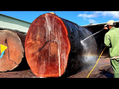 World's Largest Wood Cutting Factory // How Giant Trees Will Be Processed