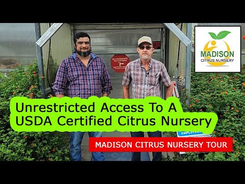 Want To See This Inside of a USDA Certified Citrus Greenhouse? - Welcome to Madison Citrus Nursery