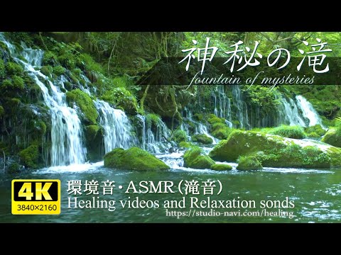 [Environmental sound / ASMR] Mysterious waterfall and river babbling sound