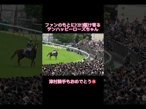 テンハッピーローズちゃんの可愛いファンサ【津村明秀】 #shorts #競馬 #ヴィクトリアマイル