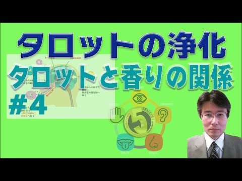 タロットと香りの関係その４：臭覚・香りが大脳に及ぼす影響とは？