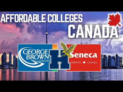 Best Affordable Colleges in Toronto Canada 🇨🇦 for International Students