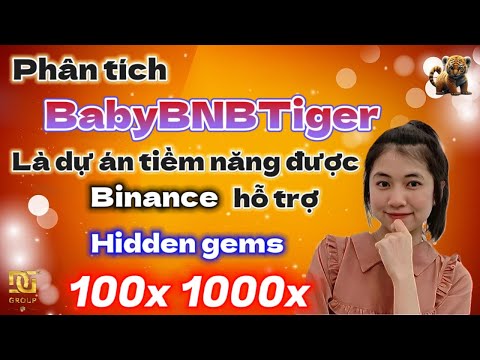 Phân tích BabyBNBTiger là dự án tiềm năng được binance hỗ trợ hidden gems 100x 1000x