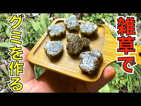 雑草でグミキャンディー作って食う