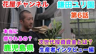 【花屋チャンネル】次世代投資資金とは⁉️生産者インタビュー‼️鹿児島県の百合農家‼️鎌田洋平さんの開業話#鎌田ユリ園#百合農家#オリエンタル#百合#鹿児島#鎌田洋平#生産者#ユリ#次世代投資資金