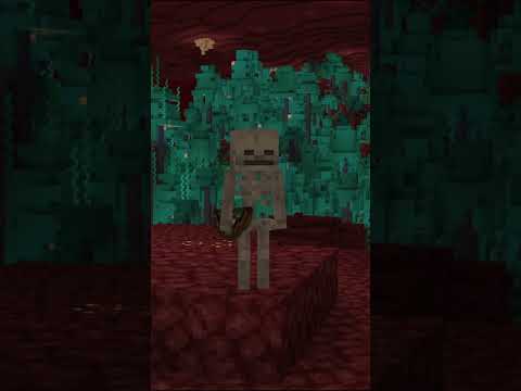 Main Secret of Wither Skeletons #minecraft