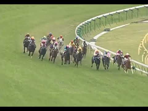 ラインクラフト 2005年 第10回NHKマイルカップ(GI) (優勝馬：ラインクラフト) (実況：ラジオNIKKEI)