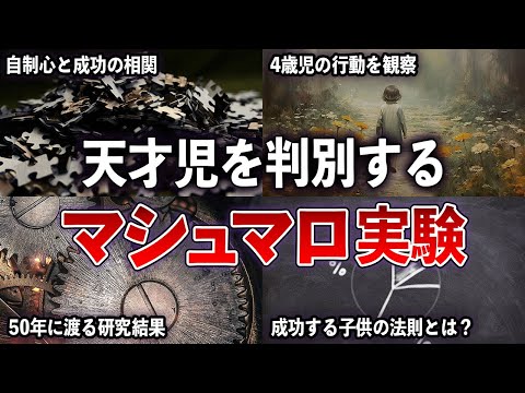 成功する子供の法則を導き出した「マシュマロ実験」の真実【ゆっくり解説withずんだもん】