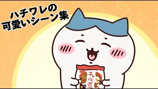 ハチワレの可愛い登場シーン集