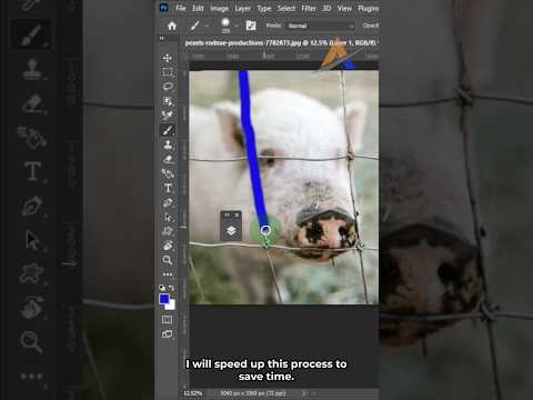 The Secret to Remove a Fence from a photo: Photoshop tutorial