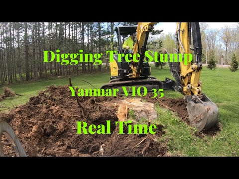 Yanmar VIO 35 Digging Stump Real Time