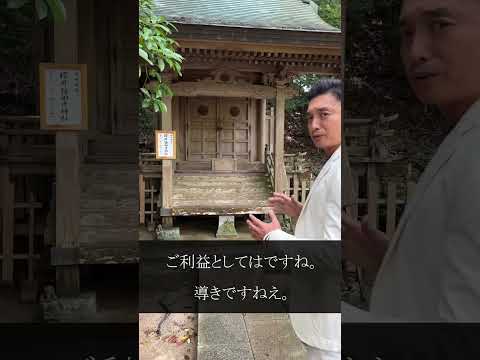 福岡県屈指の開運スポット　櫻井神社　縁結び【木下レオン】#shorts