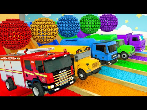 Bingo Song - School bus, Fire truck, Name the colors of the trucks-Baby Nursery Rhymes & Kids Songs