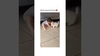 cute baby, dog#trending #baby #shortvideo #shorts #short #cocomelon #trendingshorts #toddlercuteness