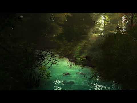 Enchanting Babbling Brook in the Forest Ambience | Relaxing Water & Australian Bird Sounds | 1 HOUR