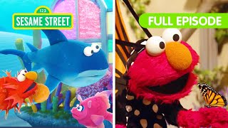 Elmo's Animal Friends! | FOUR Sesame Street Full Episodes