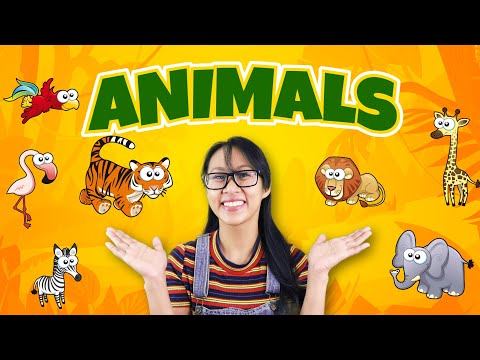 Learn About Animals | Fun Facts Animals | Zoo Animals for Toddlers and Kids