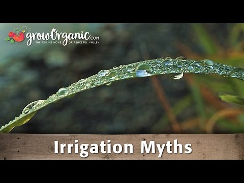 Organic Gardening Myths - Irrigation