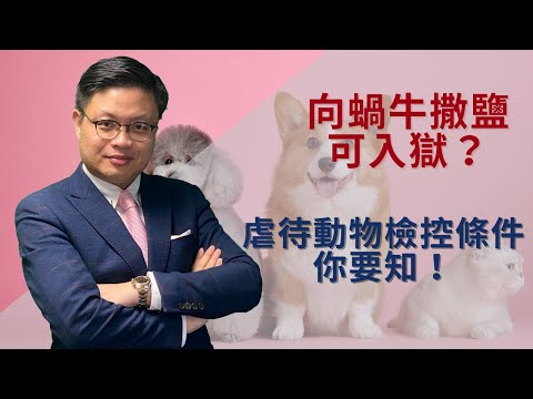 向蝸牛撒鹽可入獄？《防止殘酷對待動物條例》檢控條件你要知！