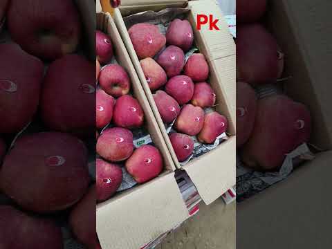 apples #appliances #appleshake #tiktok#videos #shortsyoutube#shortvideo #subscribe #Pradeep Kumar Pk