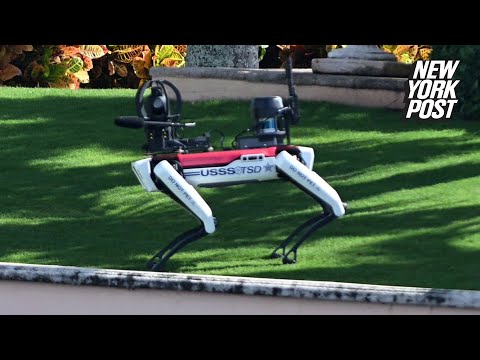 Trump beefs up security with robot dog seen patrolling Mar-a-Lago estate