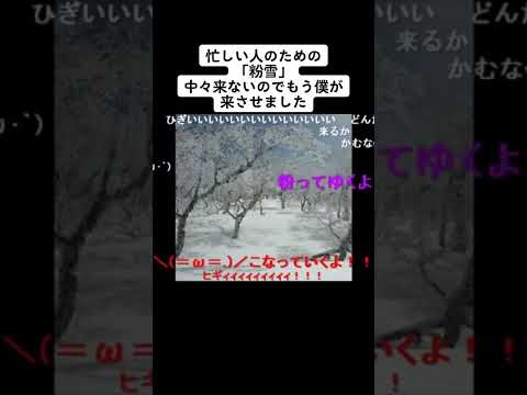 【忙しい人シリーズ】粉雪