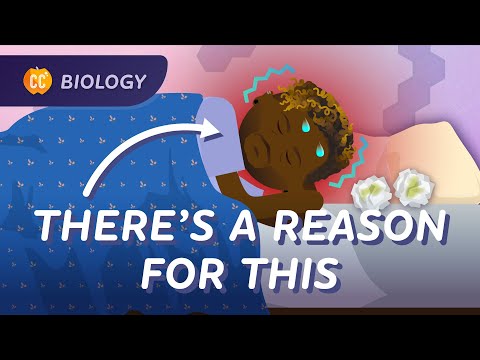 Animal Defense Systems: How Skin, Snot, and Cells Keep Us Healthy: Crash Course Biology #45