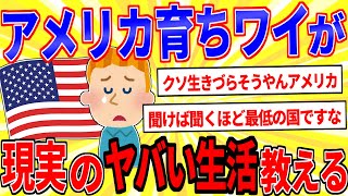 【2024年最新スレ】アメリカ育ちワイがアメリカ生活のヤバい現実を教える【2ch面白いスレゆっくり解説】