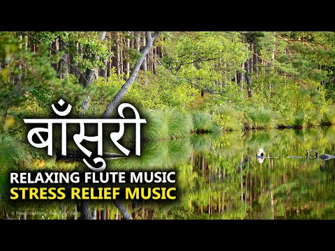 MORNING FLUTE MUSIC l FLUTE RELAXATION l RELAXING FLUTE MUSIC l INSTRUMENTAL FLUTE MUSIC