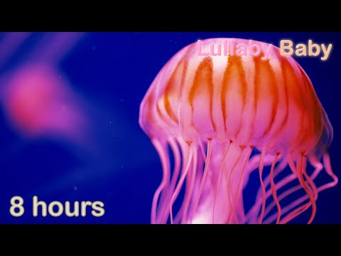 ☆ 8 HOURS ☆ Relaxing JELLYFISH ☆ UNDERWATER Sounds with MUSIC ♫ Relaxing Sleep Music, Stress Relief