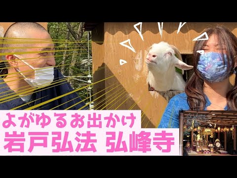 【岩窟寺院】弘峰寺ご紹介【ヤギがいるお寺】