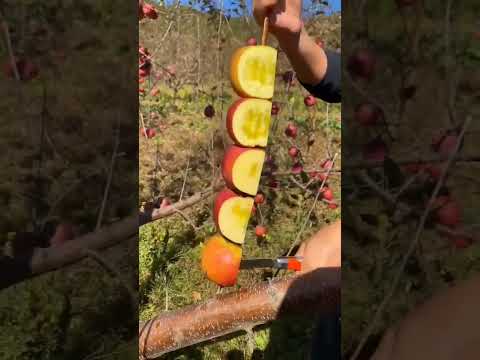 Apple ninja cutting #fruit #amazing #fruitcutting #subscribe #kinetic #ninja #cutting