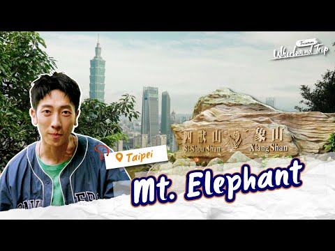 Taipei 101 on the Xiangshan (Mt. Elephant) Trail | 📍𝑻𝒂𝒊𝒑𝒆𝒊 | Whirlwind Trip