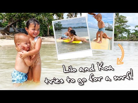 Lilo and Koa tries to go for a surf!