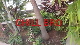 Chill Bro | View Matters | Relax |  Alex Family Bonding