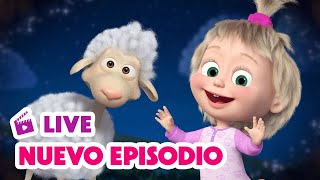 🔴 EN VIVO Masha y el Oso Castellano 🐻 Nuevo episodio 🌟 Duérmete Niño 🐑 💤 LIVE