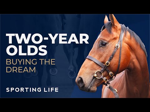 Two Year Olds: Buying The Dream - Richard Fahey