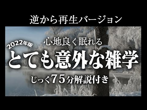 【逆から再生】とても意外な雑学【リラックス】いつもより深い睡眠を♪