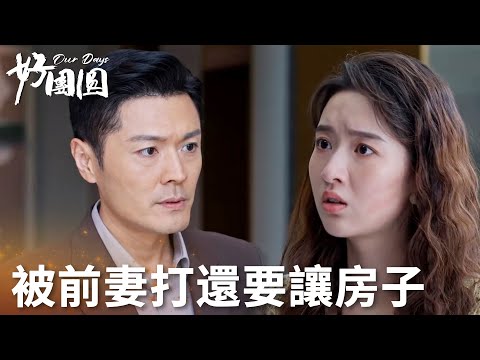 「好團圓」向南不僅被前妻打，還要把家讓給前妻？ | WeTV