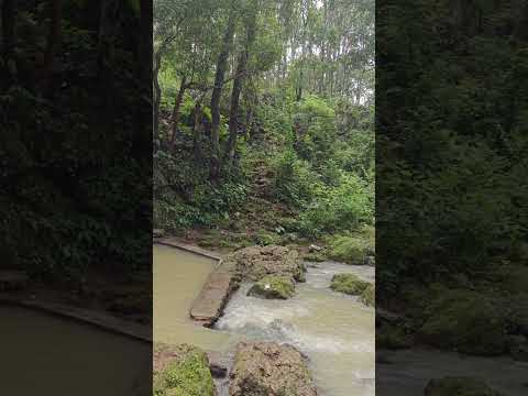 Upper Ghaghri Falls , Netarhat #shorts #ytshorts #jharkhand