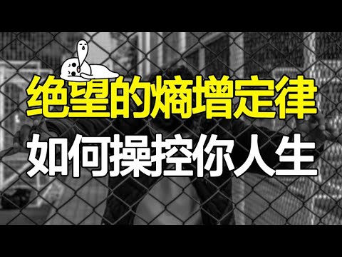 生活混沌无序、精神焦虑压抑！为什么真正的高手，都在对抗熵增？【心河摆渡】