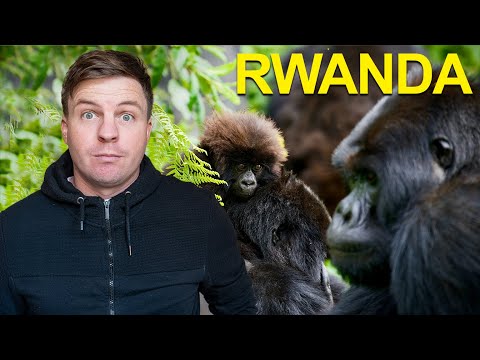 GORILLA TREKKING in Rwanda - Ultimate Bucket List (2023)