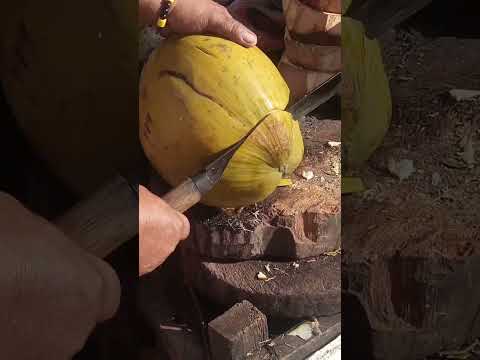 fantastic video / coconut cutting technique Asmr #cuttingskils #streetfood #youtubeshorts #Gatchie